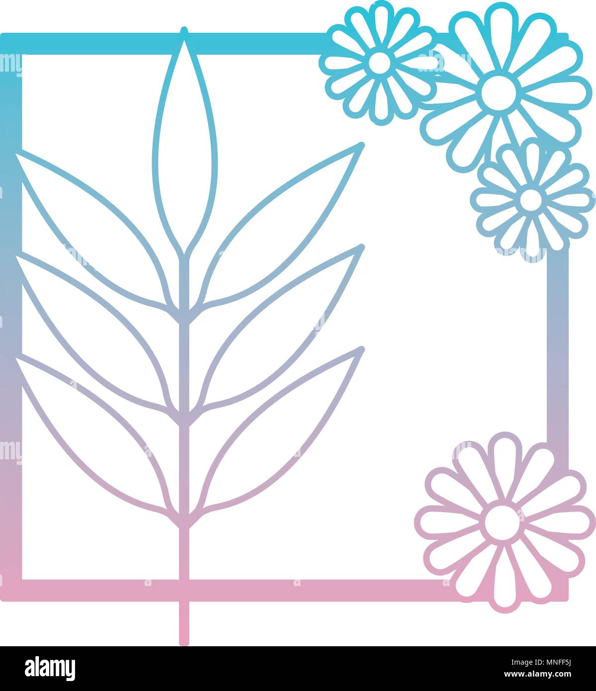 flower and leafs decorative square frame Stock Vector Image & Art - Alamy