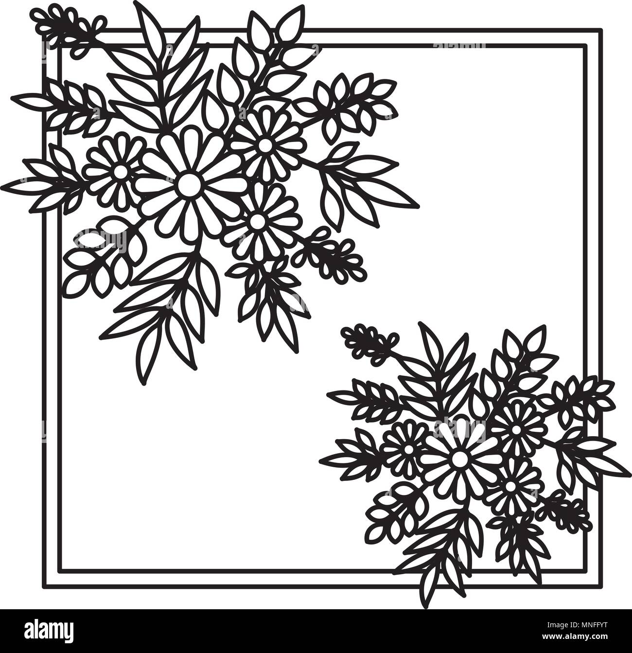 flower and leafs decorative square frame Stock Vector Image & Art - Alamy