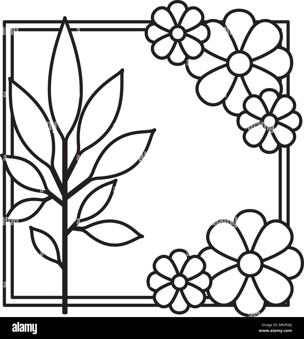 flower and leafs decorative square frame Stock Vector Image & Art - Alamy