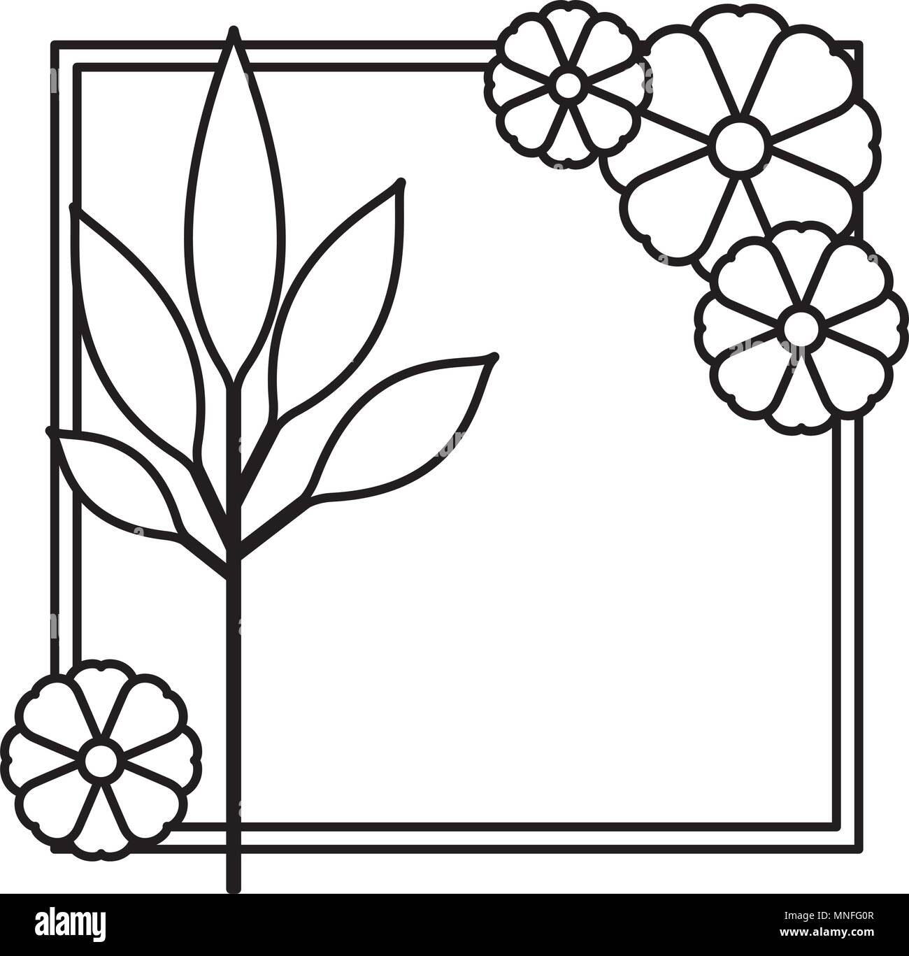 flower and leafs decorative square frame Stock Vector Image & Art - Alamy