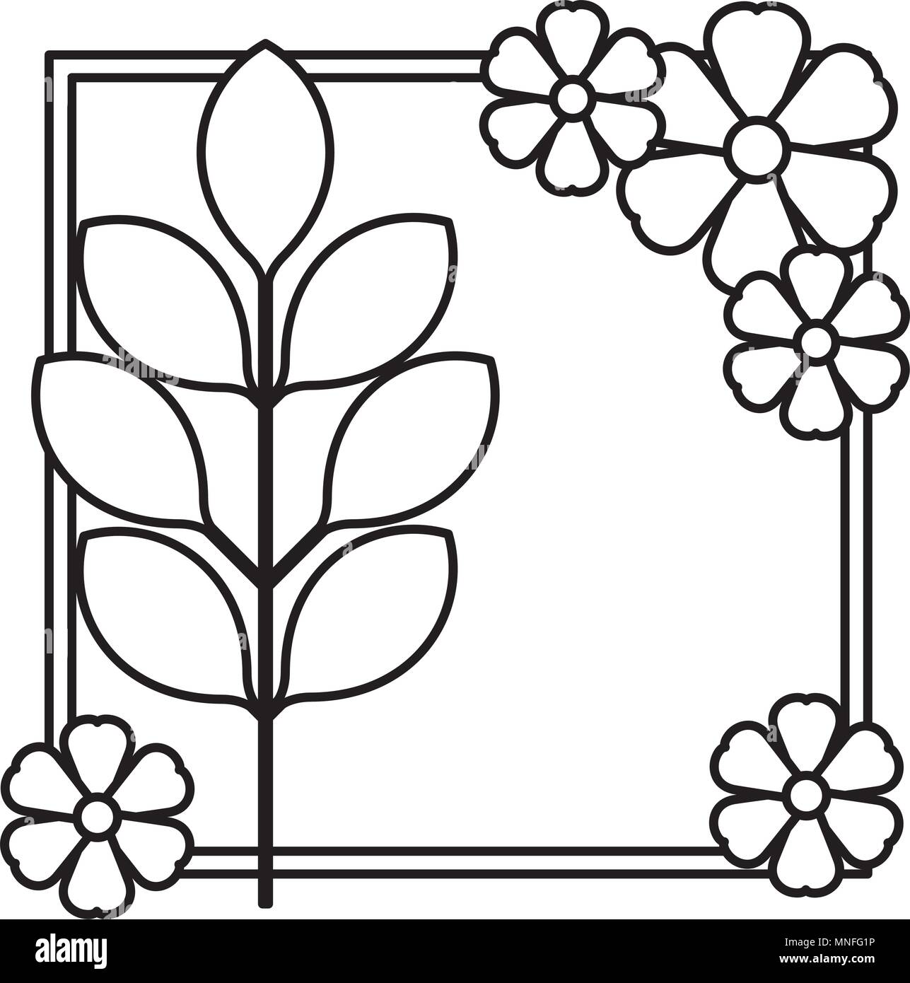 flower and leafs decorative square frame Stock Vector Image & Art - Alamy