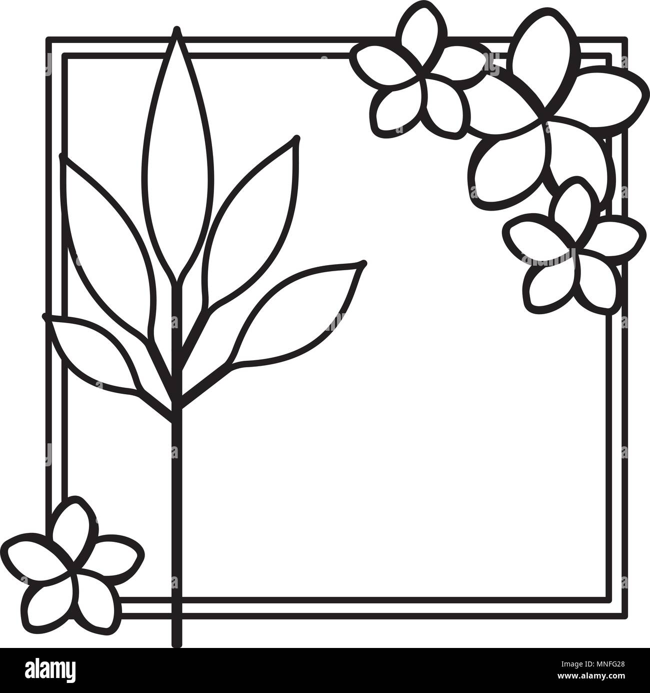 flower and leafs decorative square frame Stock Vector Image & Art - Alamy