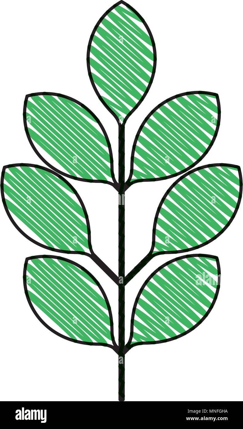 branch with leafs decorative icon Stock Vector Image & Art - Alamy