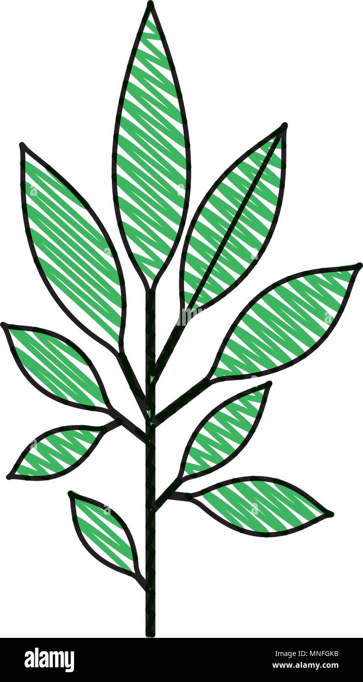 branch with leafs decorative icon Stock Vector Image & Art - Alamy