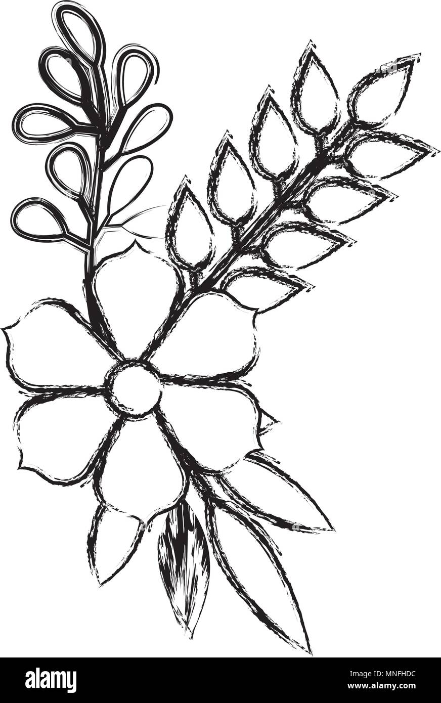 flower and leafs decorative icon Stock Vector Image & Art - Alamy