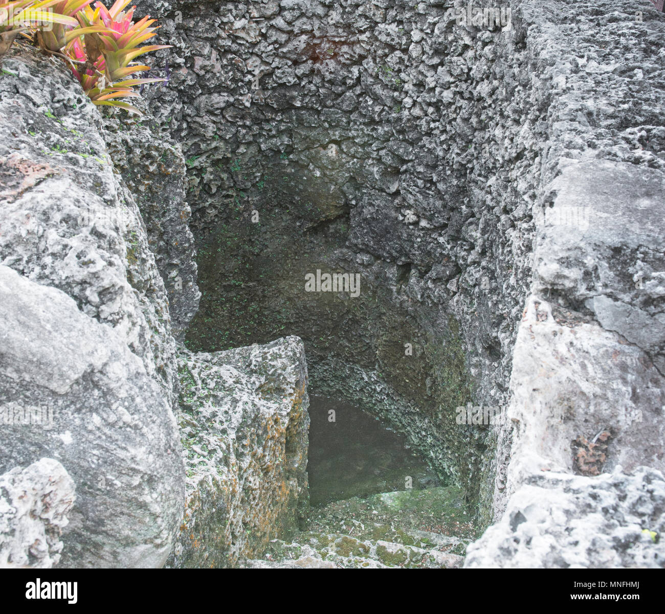 Coral Castle Spiral Well with steps leading to water, the Biscayne Aquifer. Stock Photo
