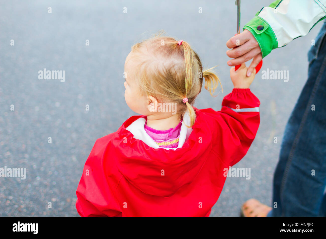 Toddler girl wearing red waterproof coat outdoor on rainy day Stock
