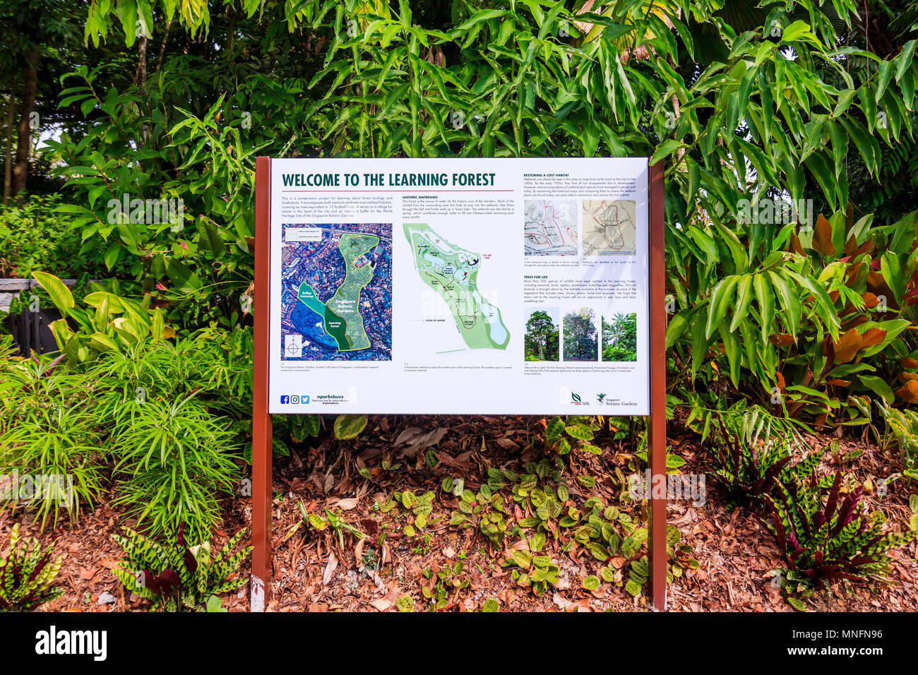 Singapore, August 12, 2017: Welcome Message of The Learning Forest at ...