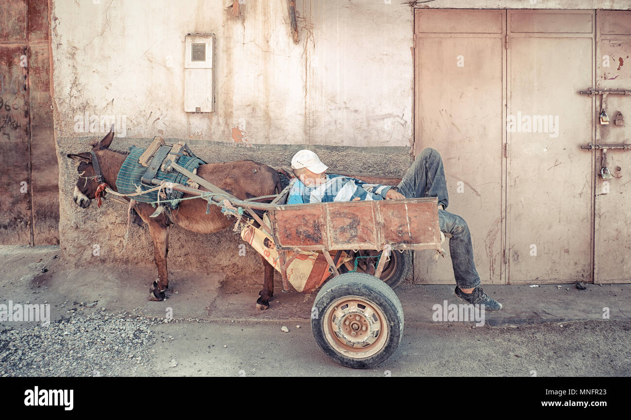 MARRAKECH, MOROCCO, JUNE 2016: Street vendor sleeping in his cariage Stock Photo
