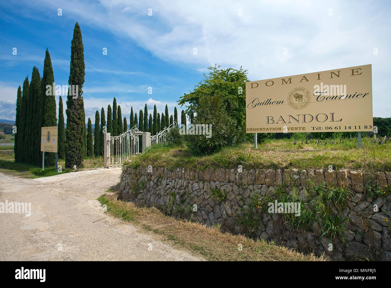 Domaine Guilhelm Tournier Bandol, vineyard at Cadiere d'Azur, Département Var, Provence-Alpes-Côte d’Azur, South France, France, Europe Stock Photo