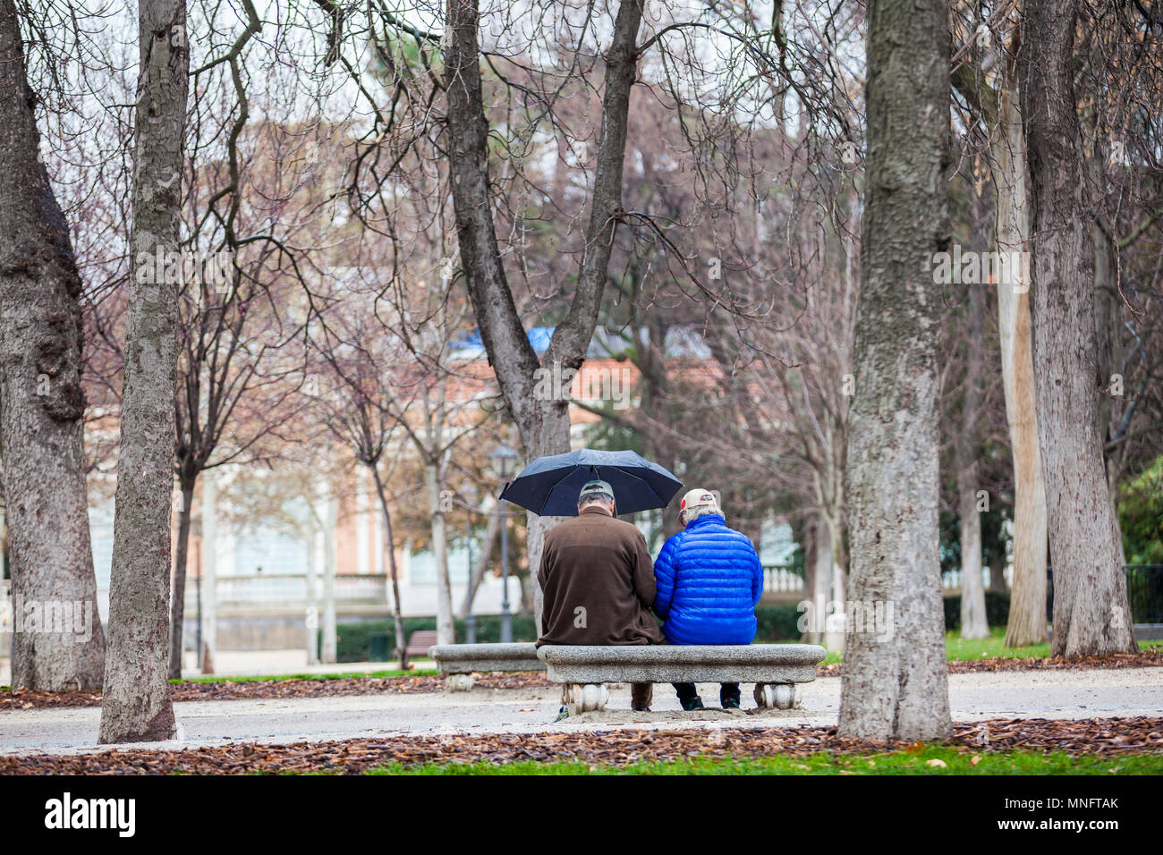 Senior couple on a bench in a city park on a rainy day Stock Photo - Alamy