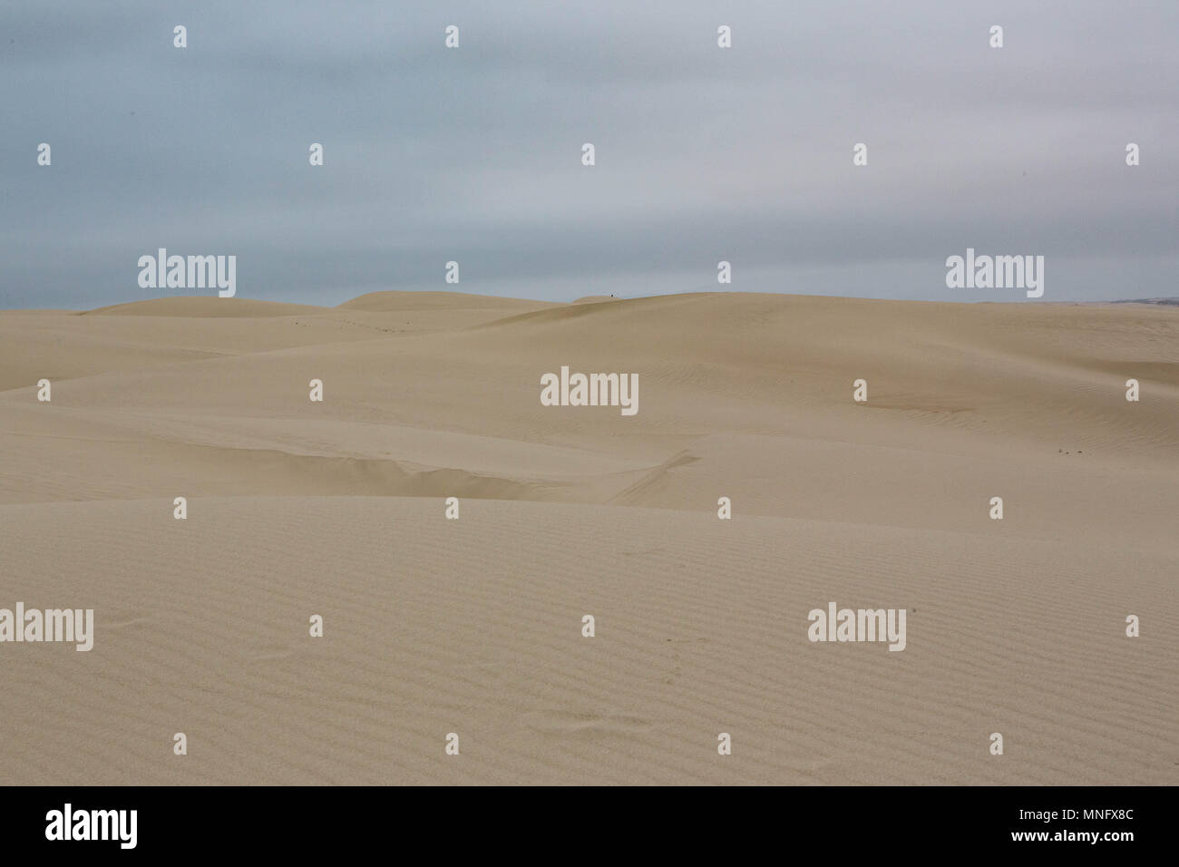 Areia Movediça No Oceano Índico Imagem de Stock - Imagem de praia, arenoso:  112344503