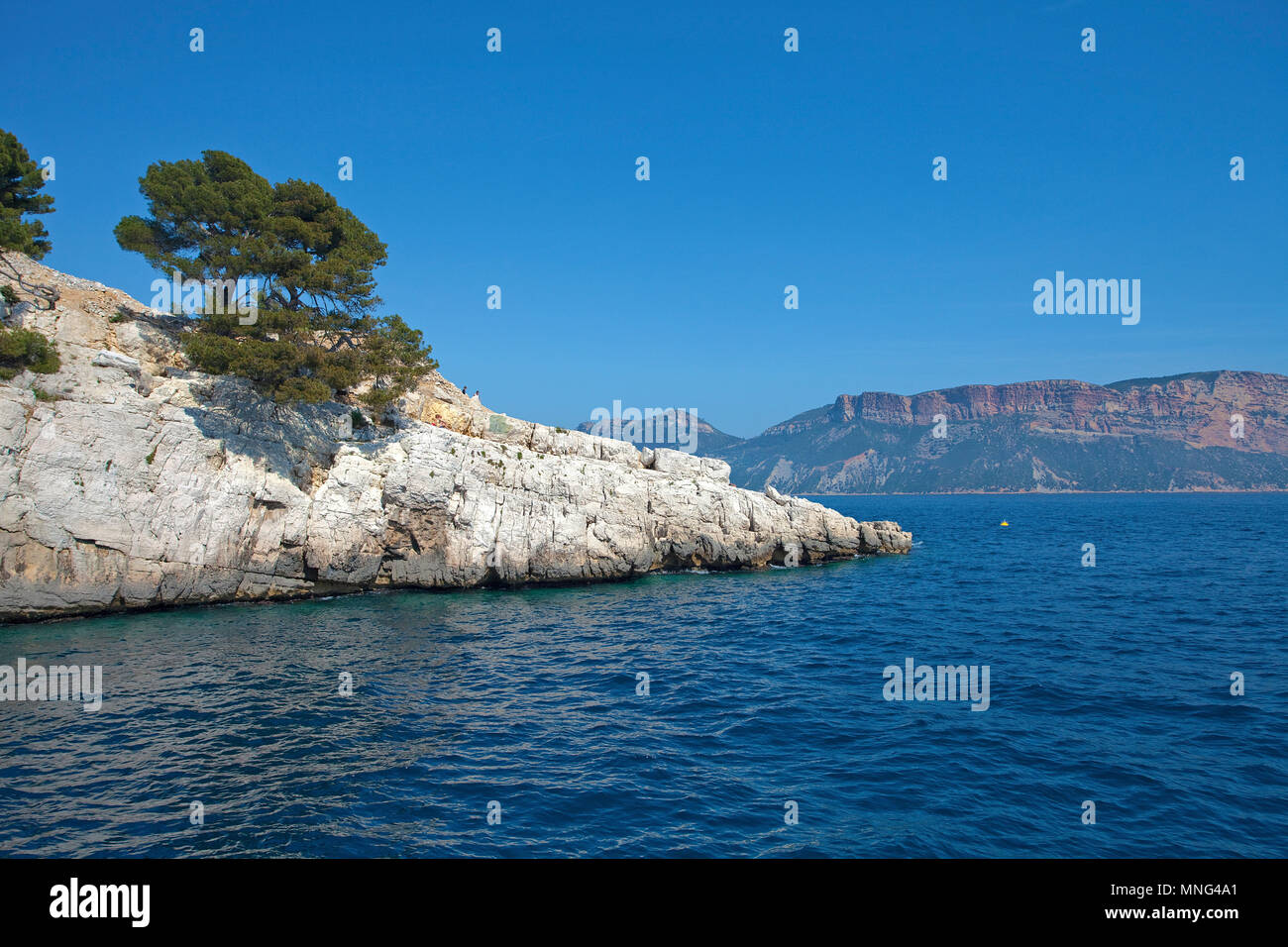 Pine tree on rock at Calanques, Bouches-du-Rhone, Côte d’Azur, South France, France, Europe Stock Photo