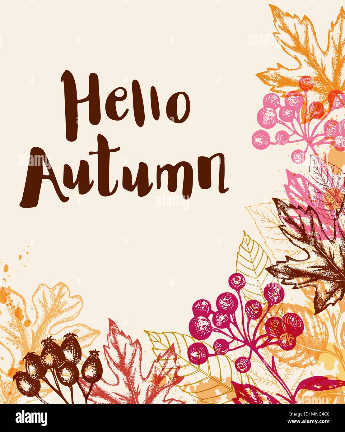 Vintage vector hand drawn autumn background with leaves and berry Stock Vector