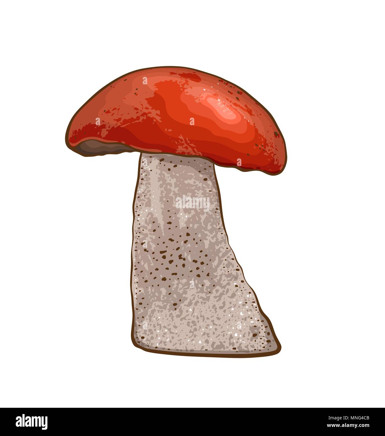 Edible wild mushroom with red cap on a white background. Vector illustration. Stock Vector