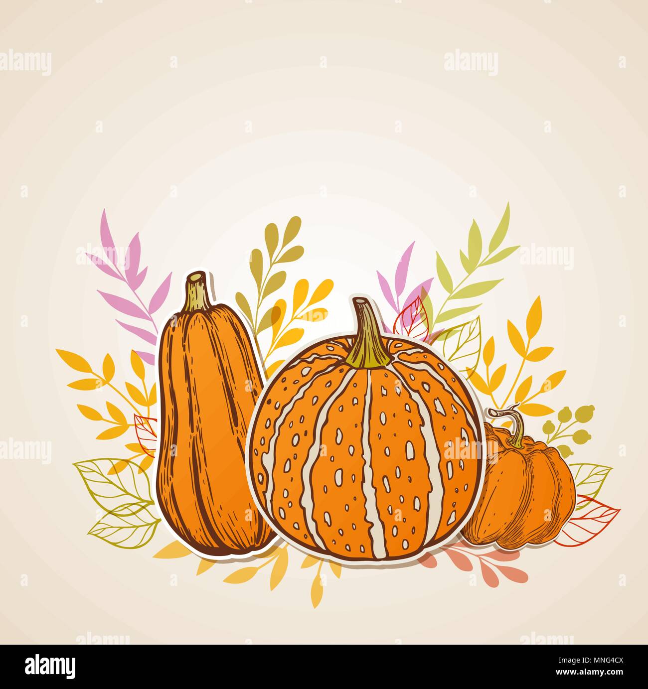 Autumn background with orange pumpkins. Vector illustration. Stock Vector
