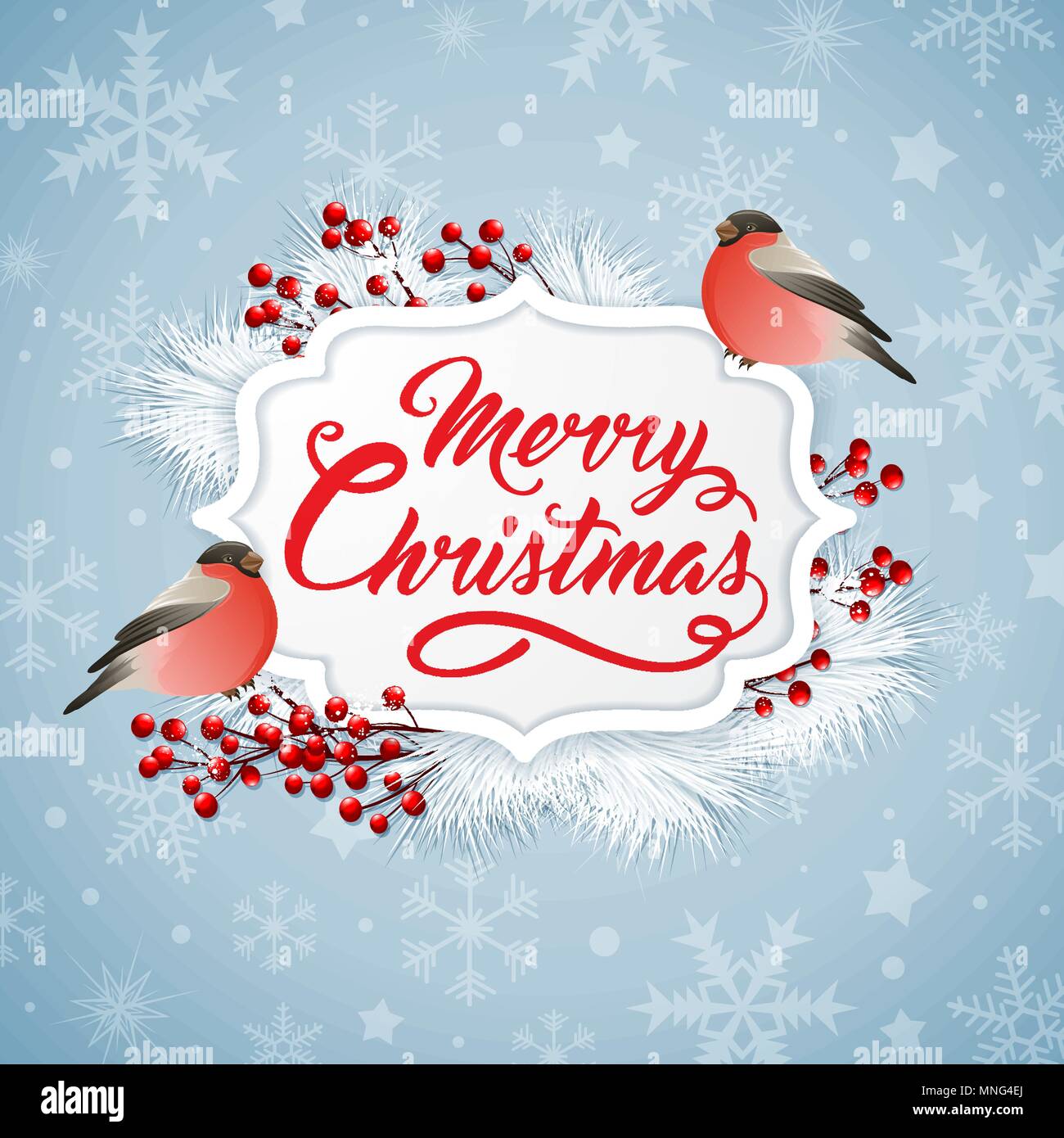 Vector Christmas banner with two bullfinches and greeting inscription. Merry Christmas lettering Stock Vector