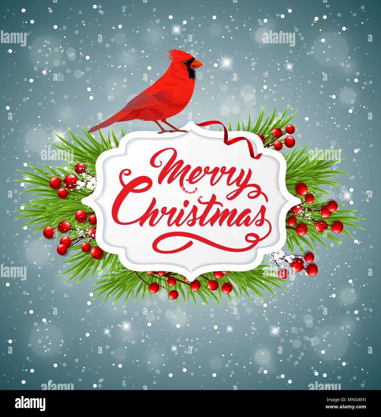 Vector Christmas banner with red cardinal bird, fir branch and greeting inscription. Merry Christmas lettering Stock Vector