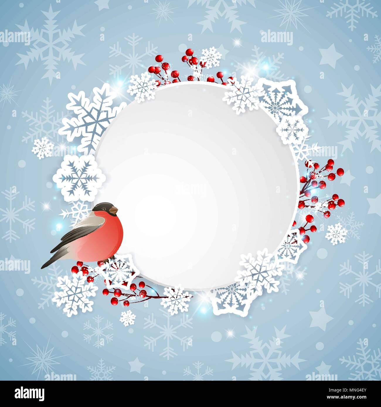 Vector Christmas banner with bullfinch and white snowflakes Stock Vector
