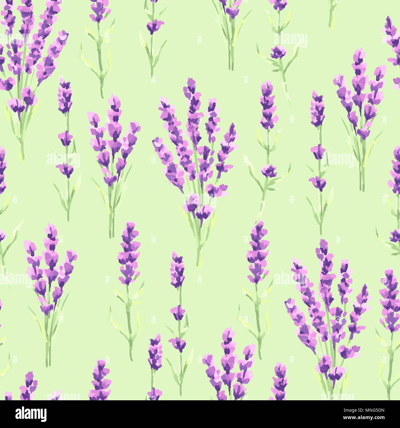 Lavender flowers seamless pattern. Watercolor natural illustration of ...