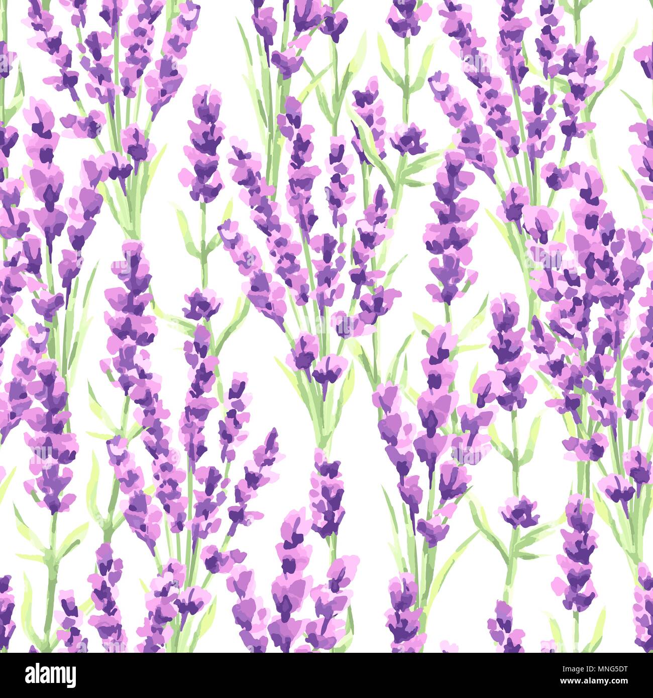 Lavender flowers seamless pattern. Watercolor natural illustration of ...