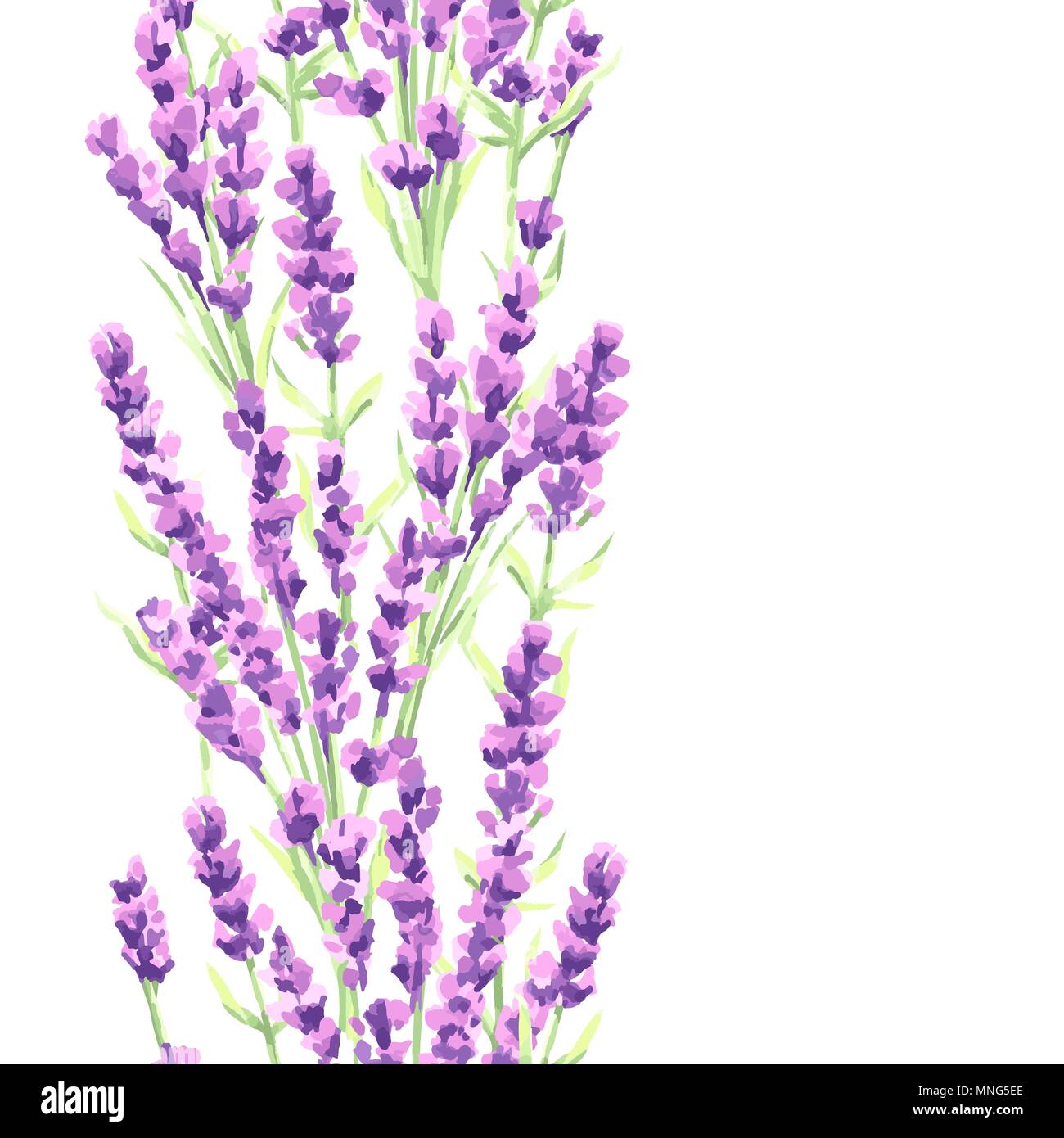 Lavender flowers seamless pattern. Watercolor natural illustration of ...
