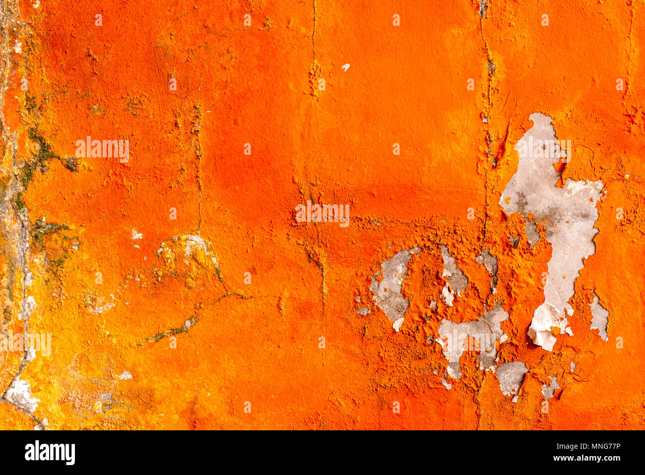 Download 73 Background Images Of Orange Color Terbaik