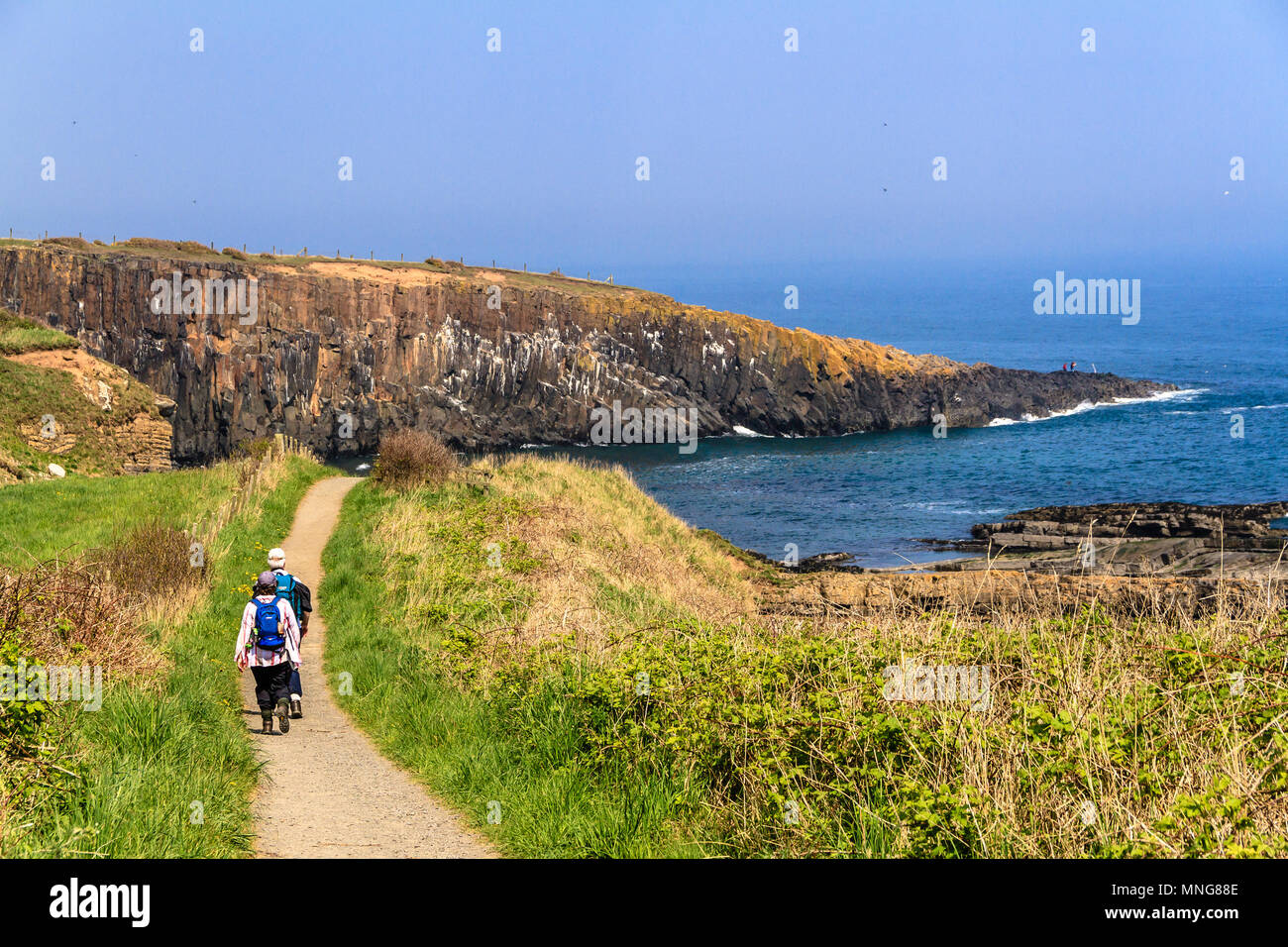 Couple walking along the Northumberland Coast Path between Howick and Craster on a sunny day in May 2018. Stock Photo