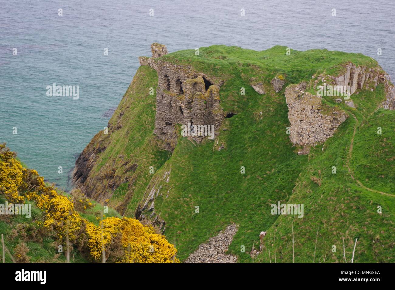 Ruin of Findlater Castle Built Precariously on a Rugged Sea Cliff