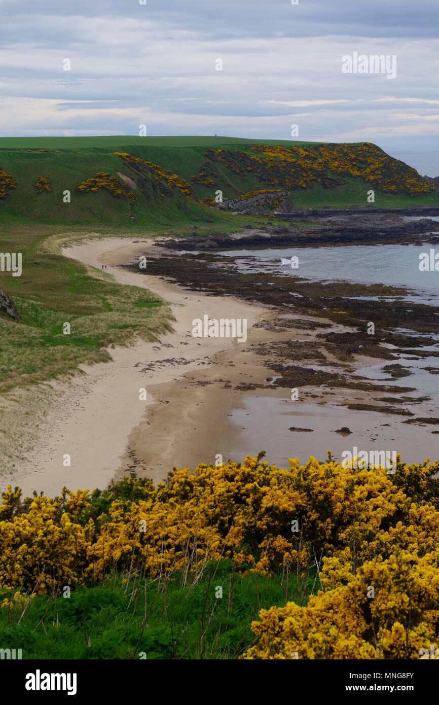 Peaceful Wild Sandy Sunnyside Beach, Cullen, Banffshire, Scotland, UK. May, 2018. Stock Photo