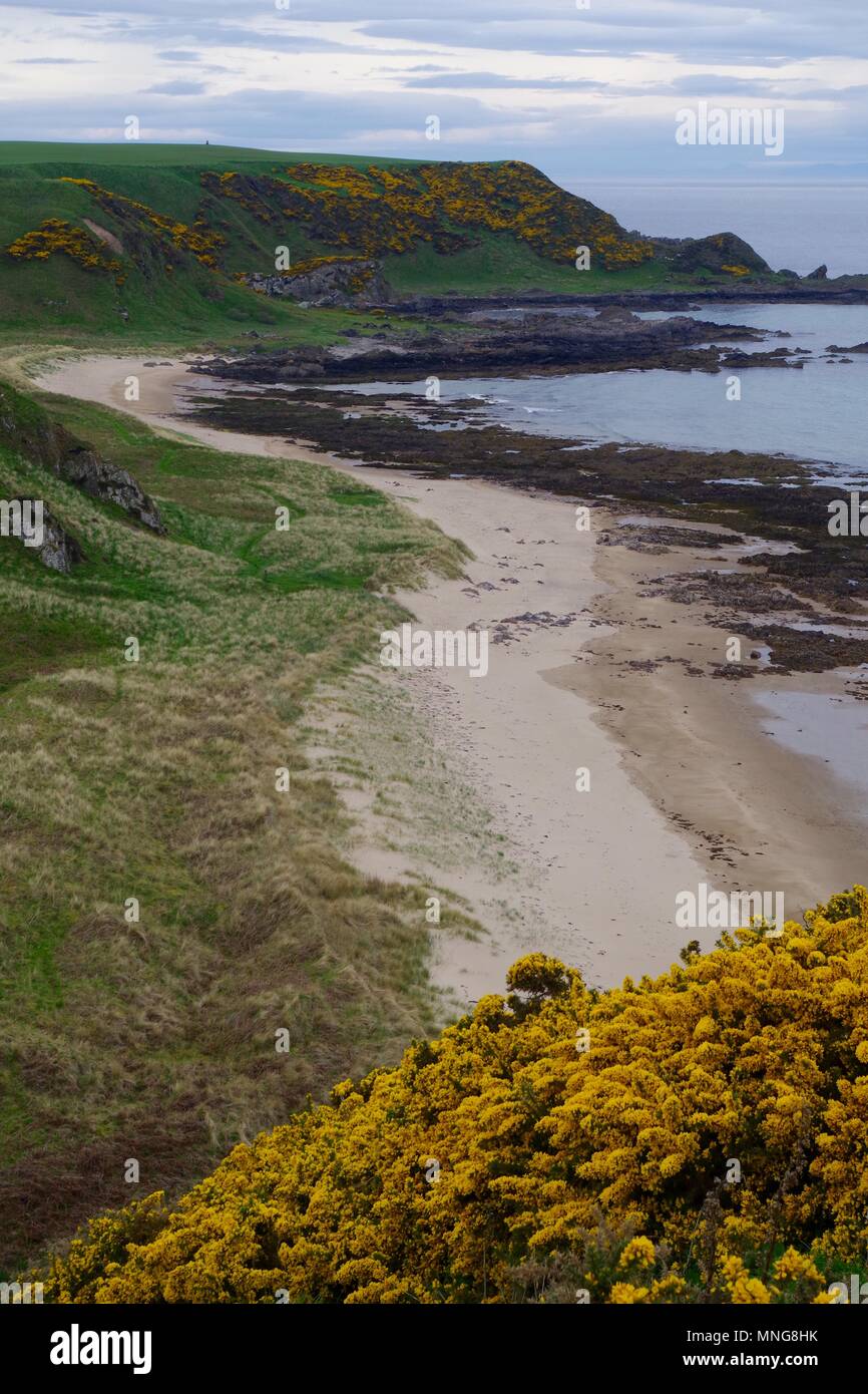 Peaceful Wild Sandy Sunnyside Beach, Cullen, Banffshire, Scotland, UK. May, 2018. Stock Photo