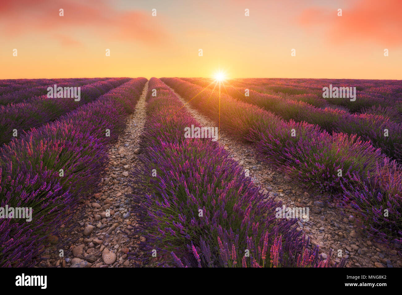 Sunrise over fields in france hi-res stock photography and images - Alamy