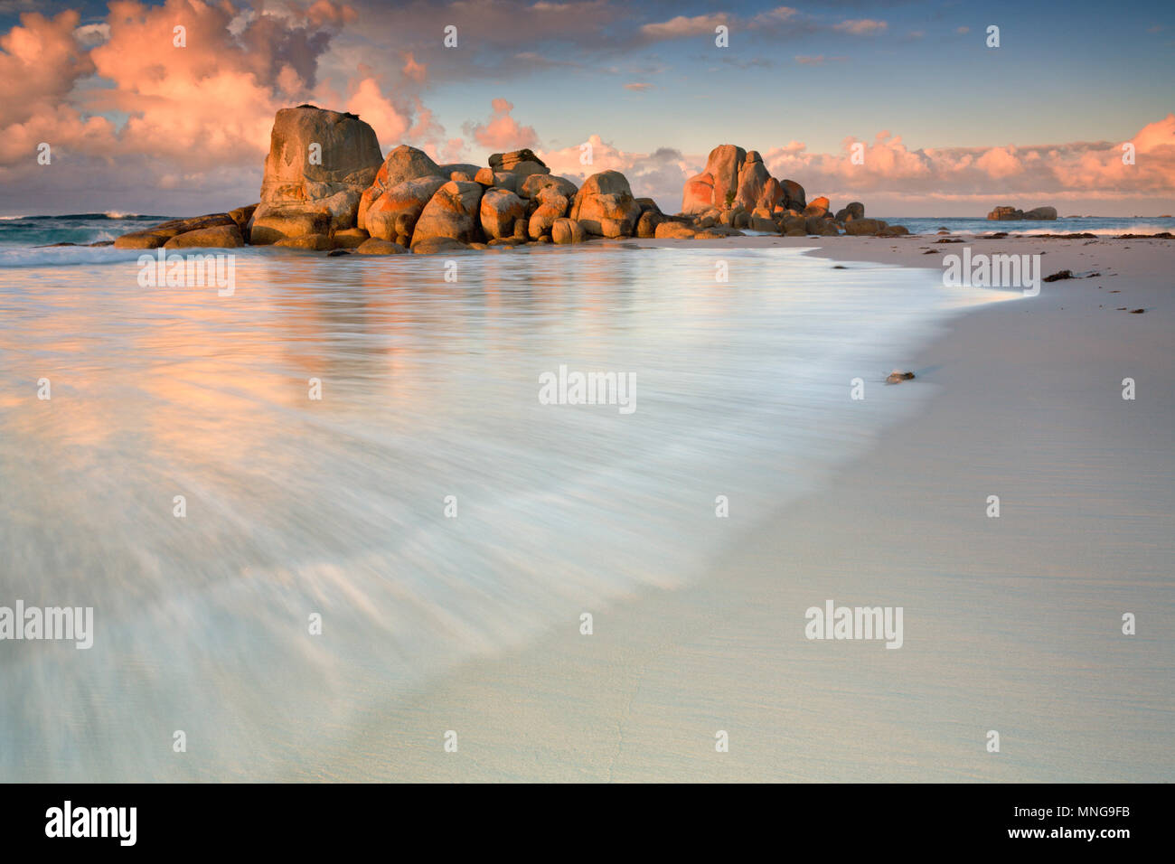 Mount William National Park, Bay of Fires Tasmania Stock Photo