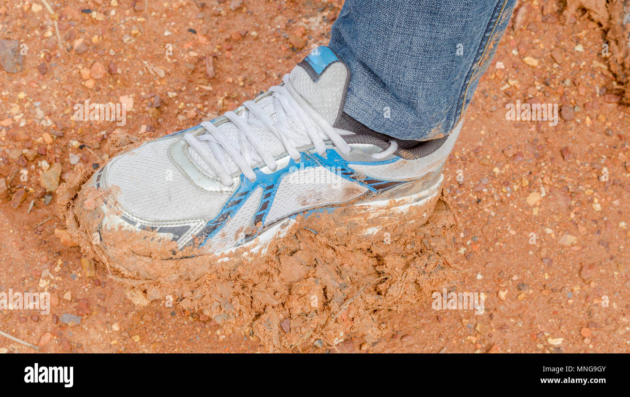 shoe in the mud Stock Photo - Alamy