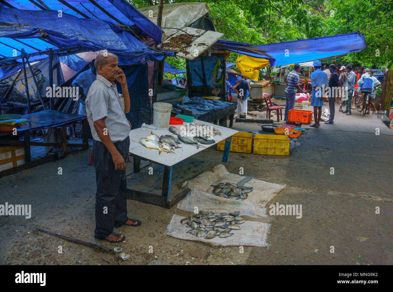 Fish stall selling fresh catches near Fort Kochi Beach Stock Photo Alamy