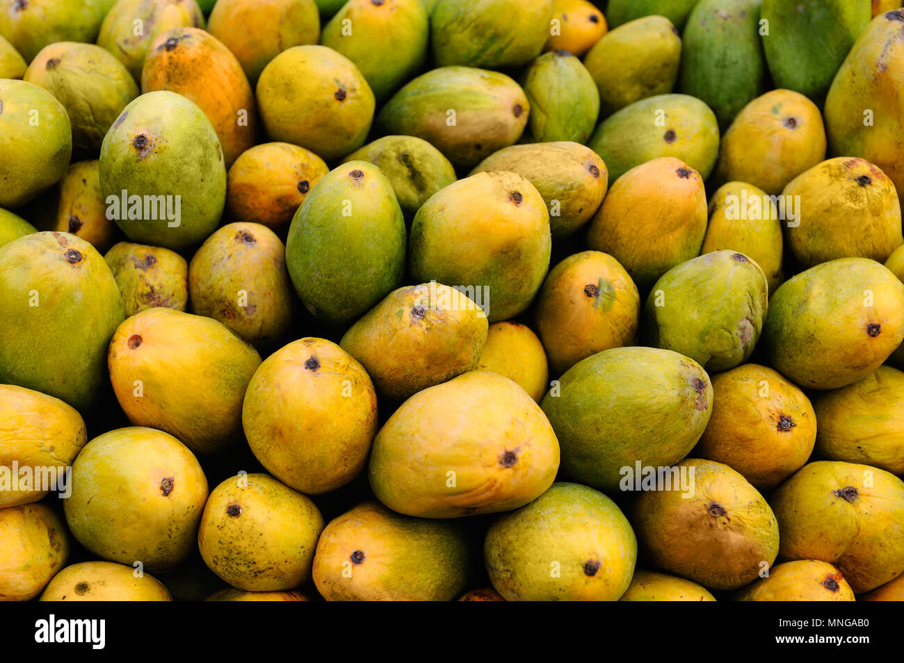 Fresh green mangos background Stock Photo Alamy