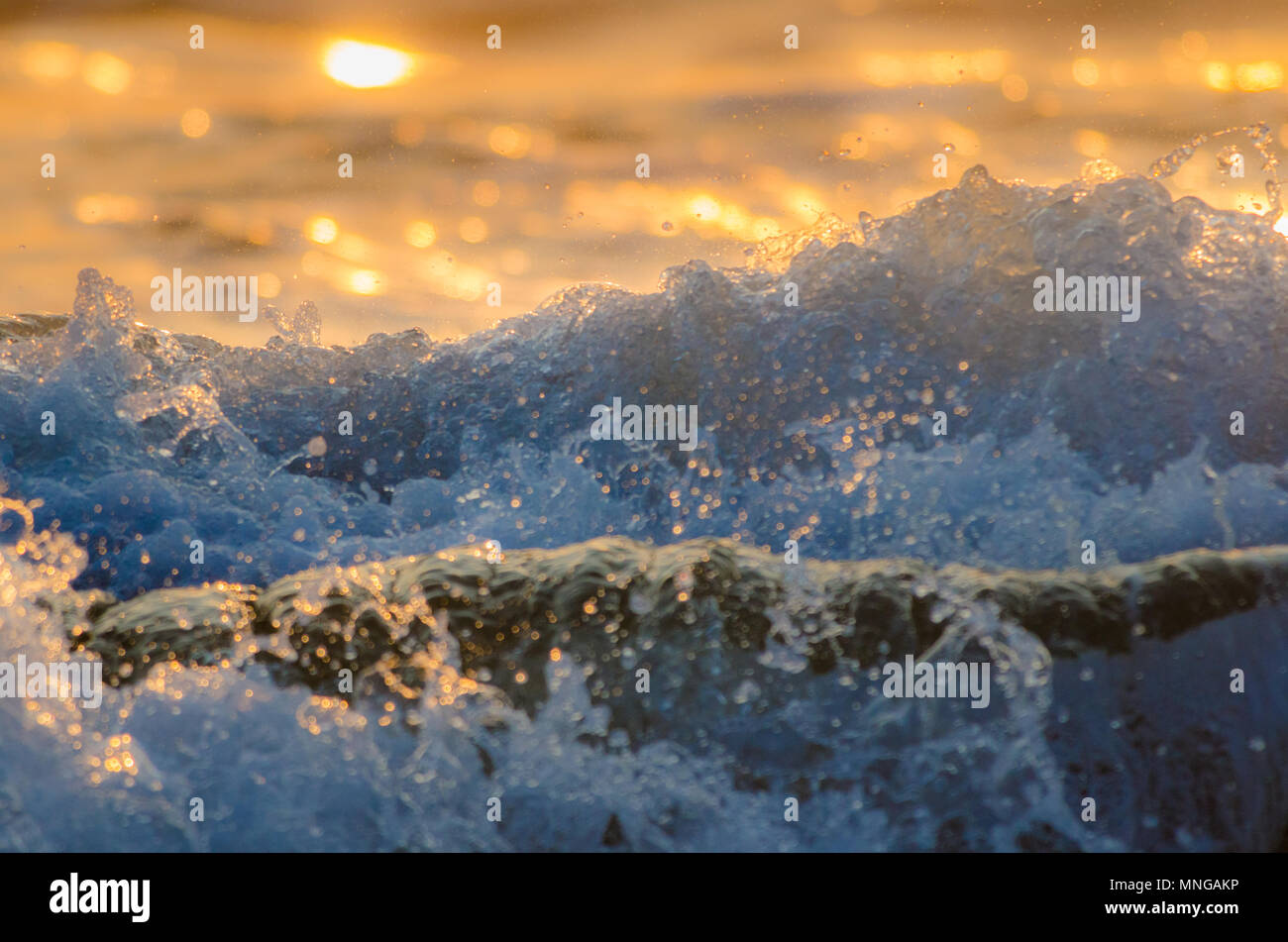 Close up foamy wave hi-res stock photography and images - Alamy