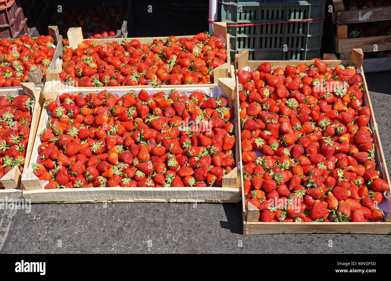 Strawberry For Sale Near Me Is Now Accessible At Local Farmers Markets