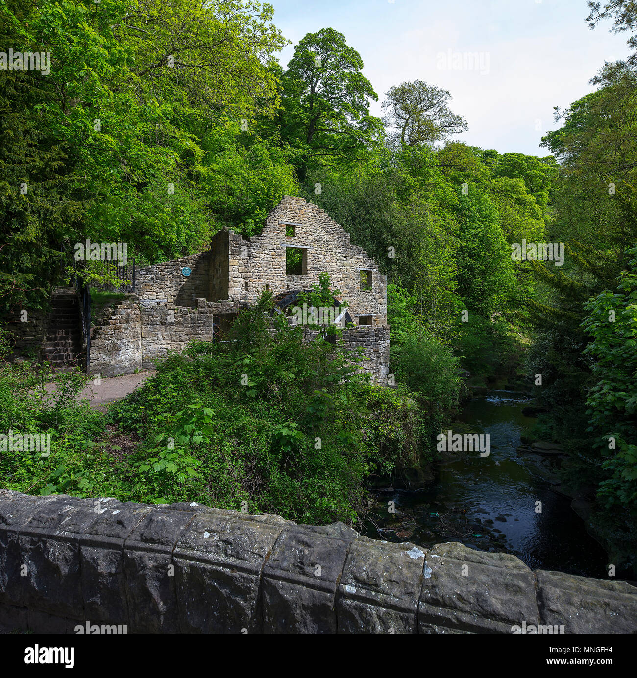 Jesmond dene summer hires stock photography and images Alamy