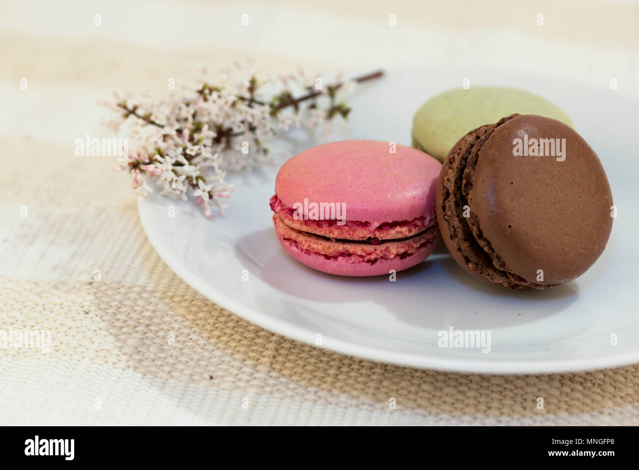 Desserts Chocolate Food Chocolat Fraise Strawberries Flowers Contemporary Food Purple Macaroons Stock Photo Alamy Desserts Chocolate Food Chocolat Fraise Strawberries Flowers Contemporary Food Purple Macaroons Stock Photo Alamy