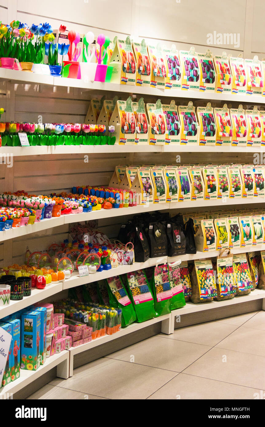 Tulip bulbs and other tulip-themed gifts on sale in the departure lounge at Schiphol International Airport in Amsterdam, The Netherlands. Stock Photo