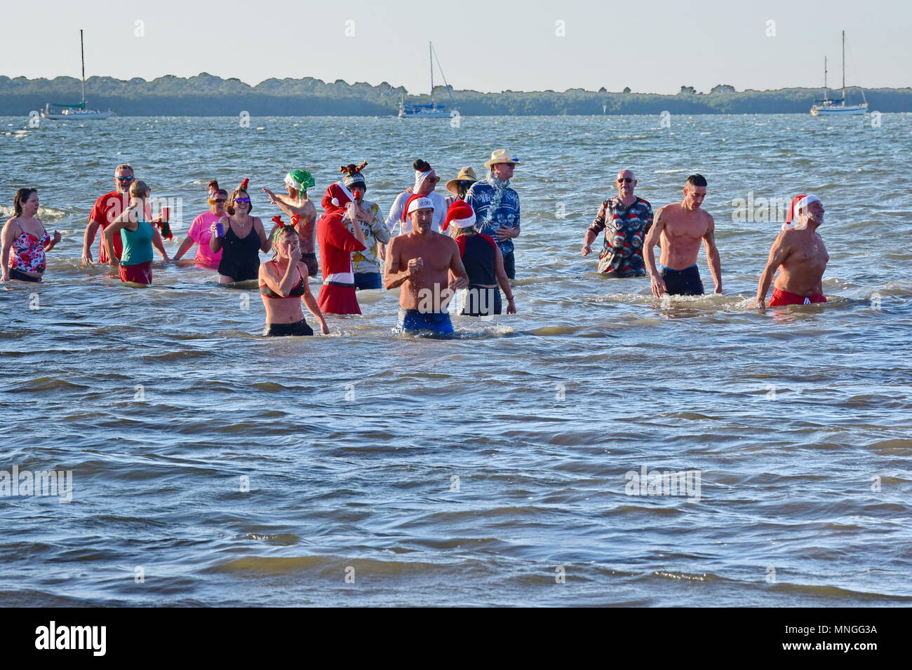 Polar Bear Plunge yearly event, Dunedin, Florida Stock Photo Alamy