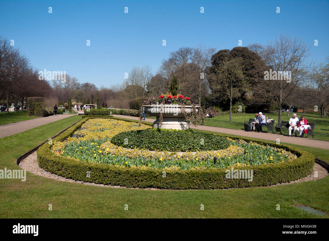 Regents Park Garden Flower Bed, London, England Stock Photo - Alamy