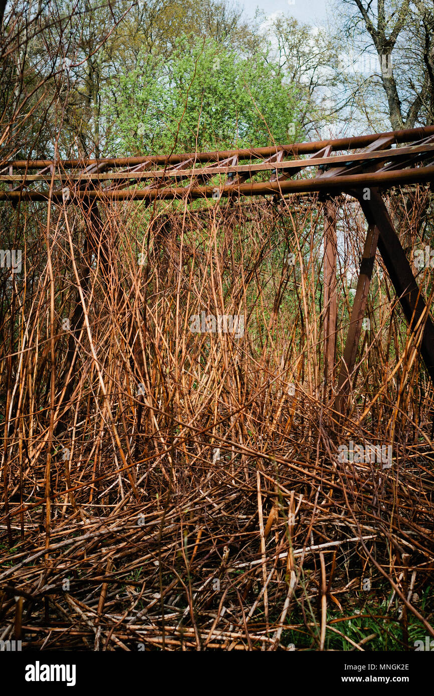 Overgrown and rusted rollercoaster rails in the abandoned Spreepark in Berlin, Germany. Stock Photo