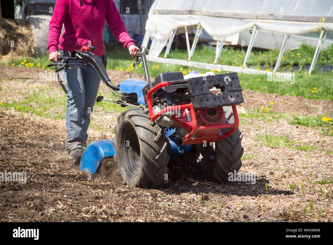 Woman worker driving rototiller tractor unit preparing soil on outdoor garden Stock Photo