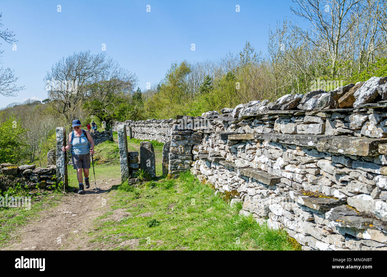 Traditional dry stone walling and stile. Stock Photo