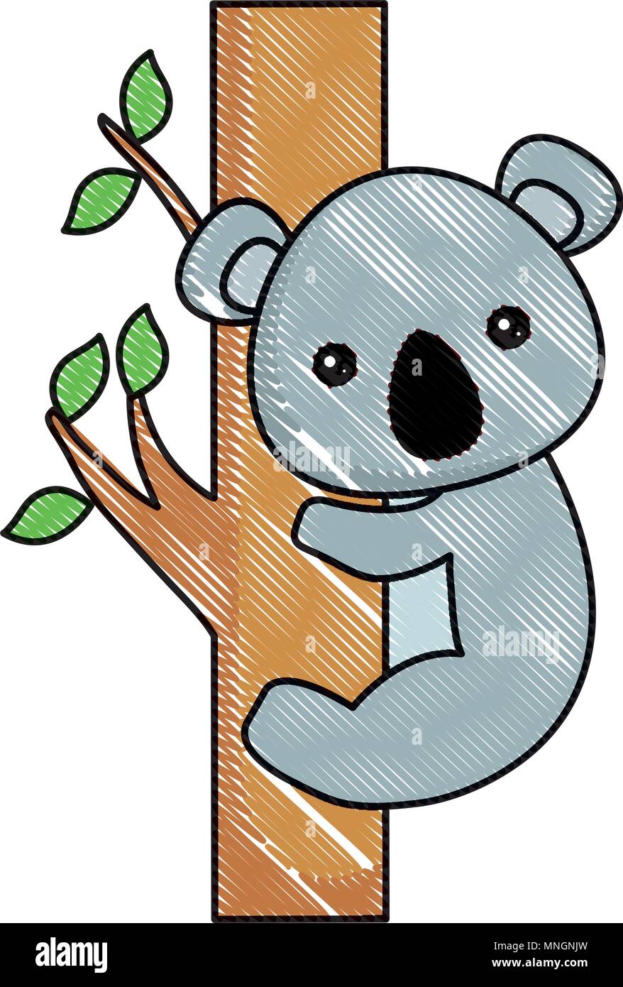 cute koala on tree branch over white background, vector illustration ...