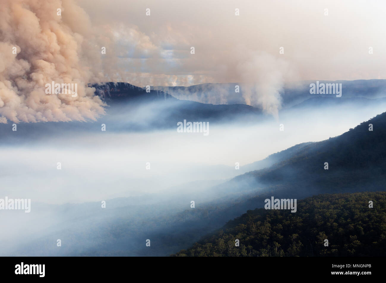 Australian mountain bushfire scene and layers near Katoomba in the Blue Mountains National Park . Stock Photo