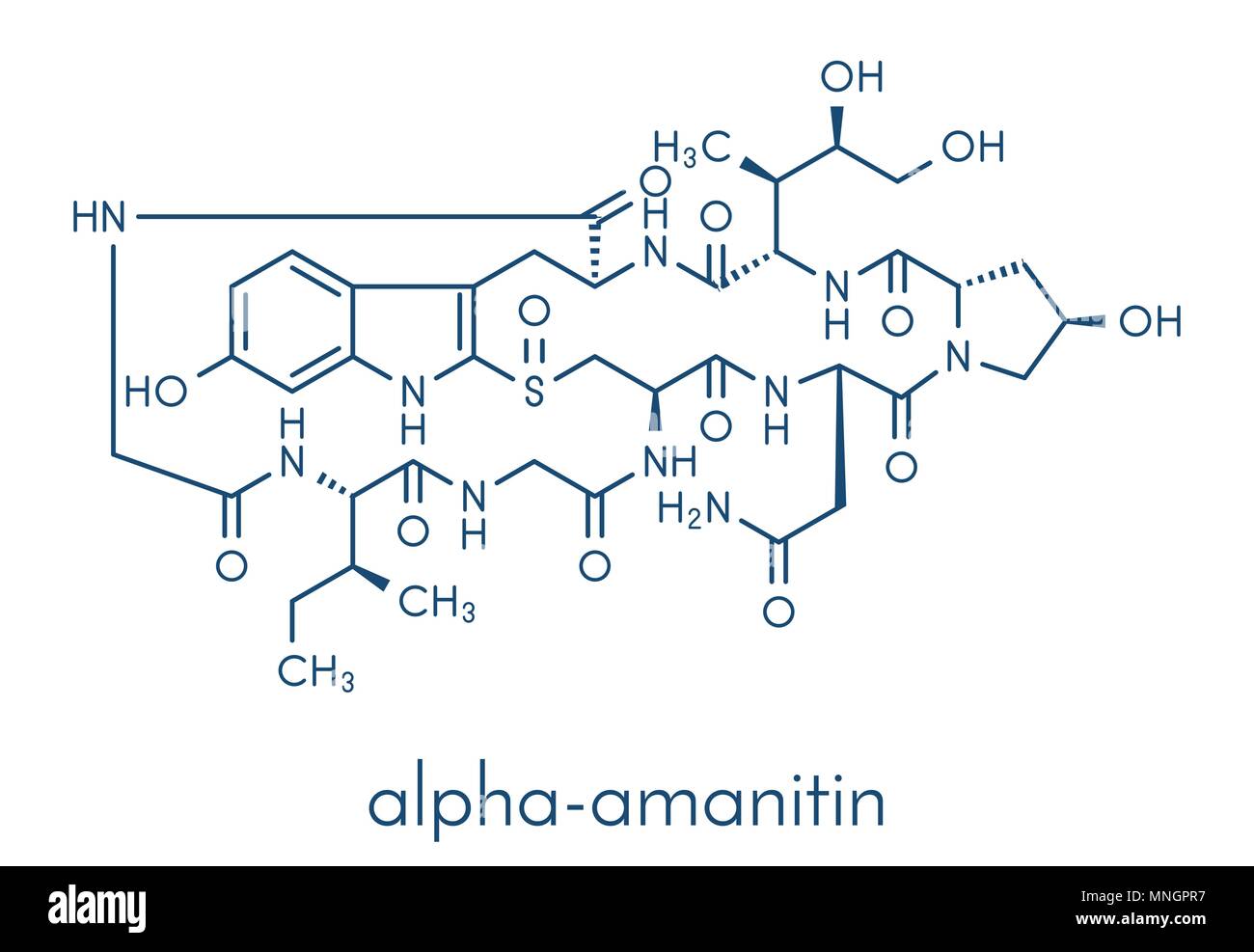 Alpha-amanitin death cap toxin molecule. Present in many Amanita mushrooms. Skeletal formula. Stock Vector
