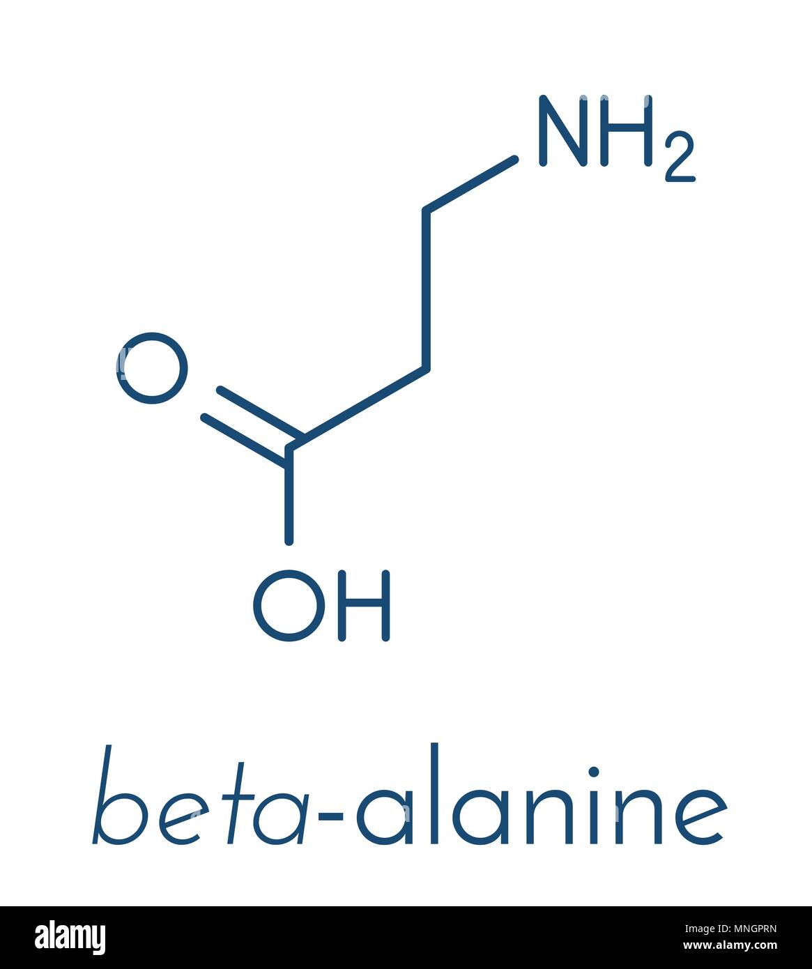 Betaalanine molecule. Naturally occurring beta amino acid